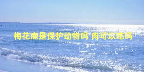梅花鹿是保护动物吗 肉可以吃吗